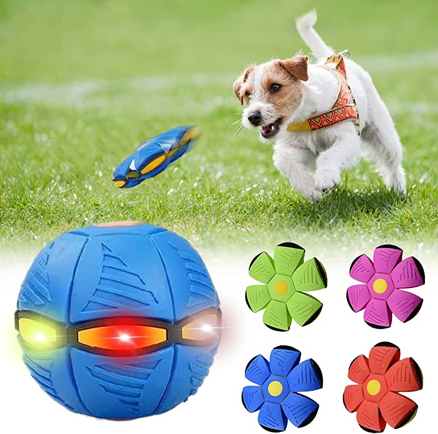Petterific™ Dog Frisbee