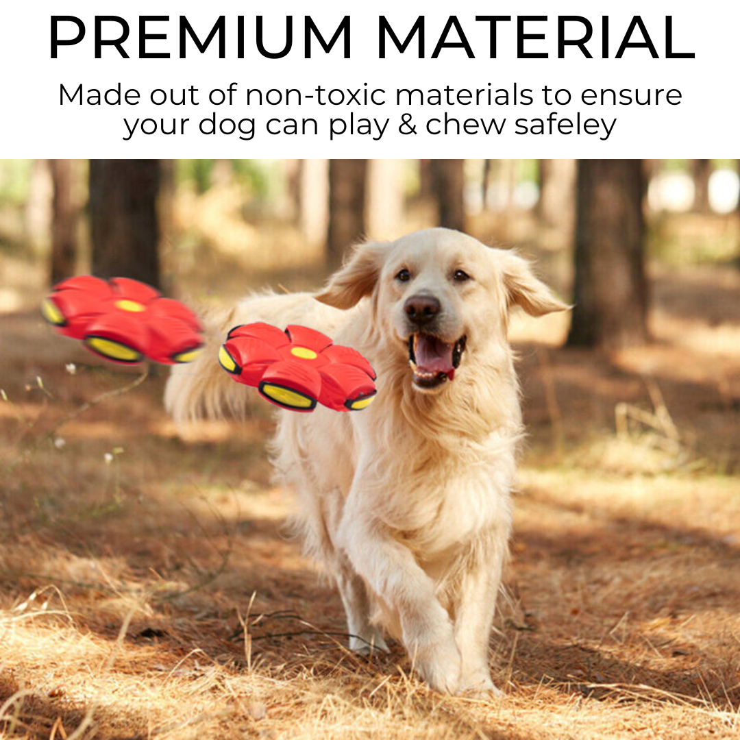 Petterific™ Dog Frisbee