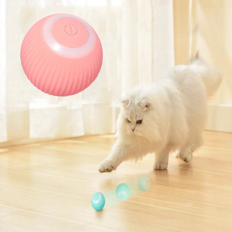 Petterific™ Interactive Ball
